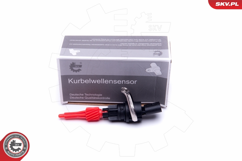 SKV 17SKV550