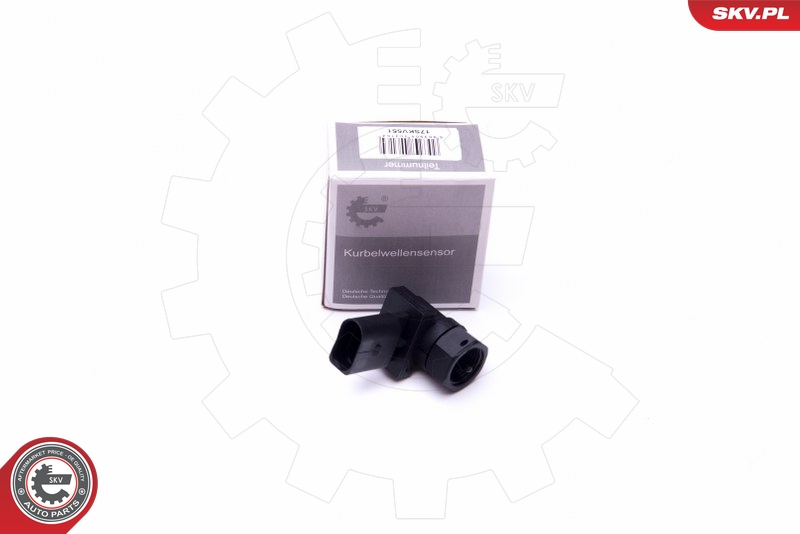 SKV 17SKV551
