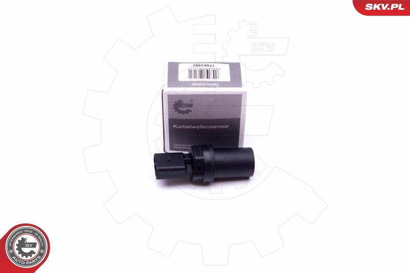 SKV 17SKV552