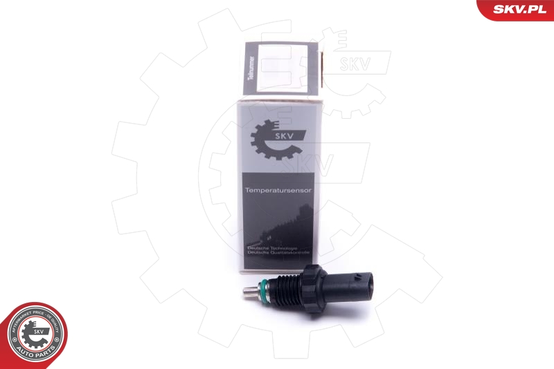 SKV 17SKV673