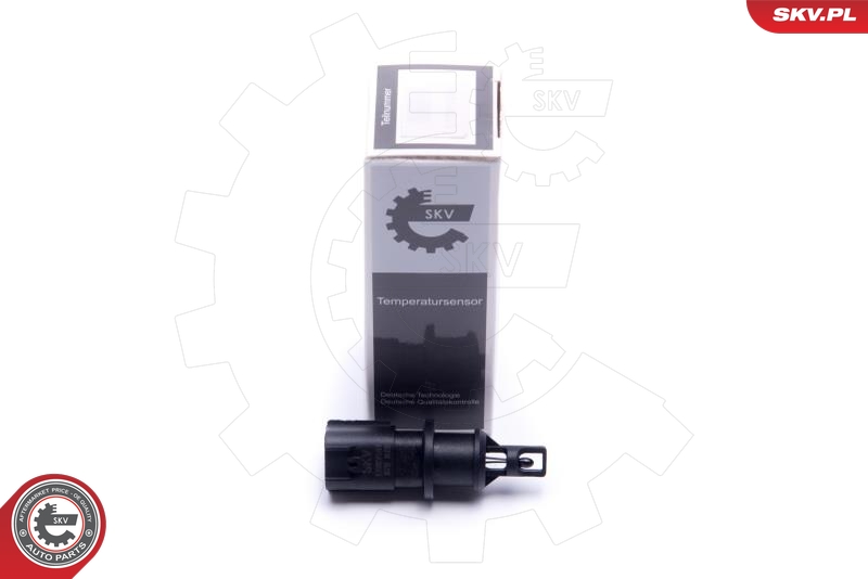 SKV 17SKV681