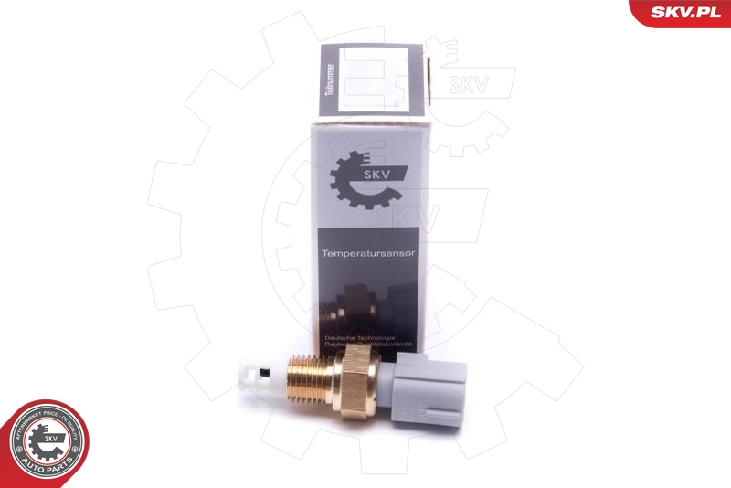 SKV 17SKV684