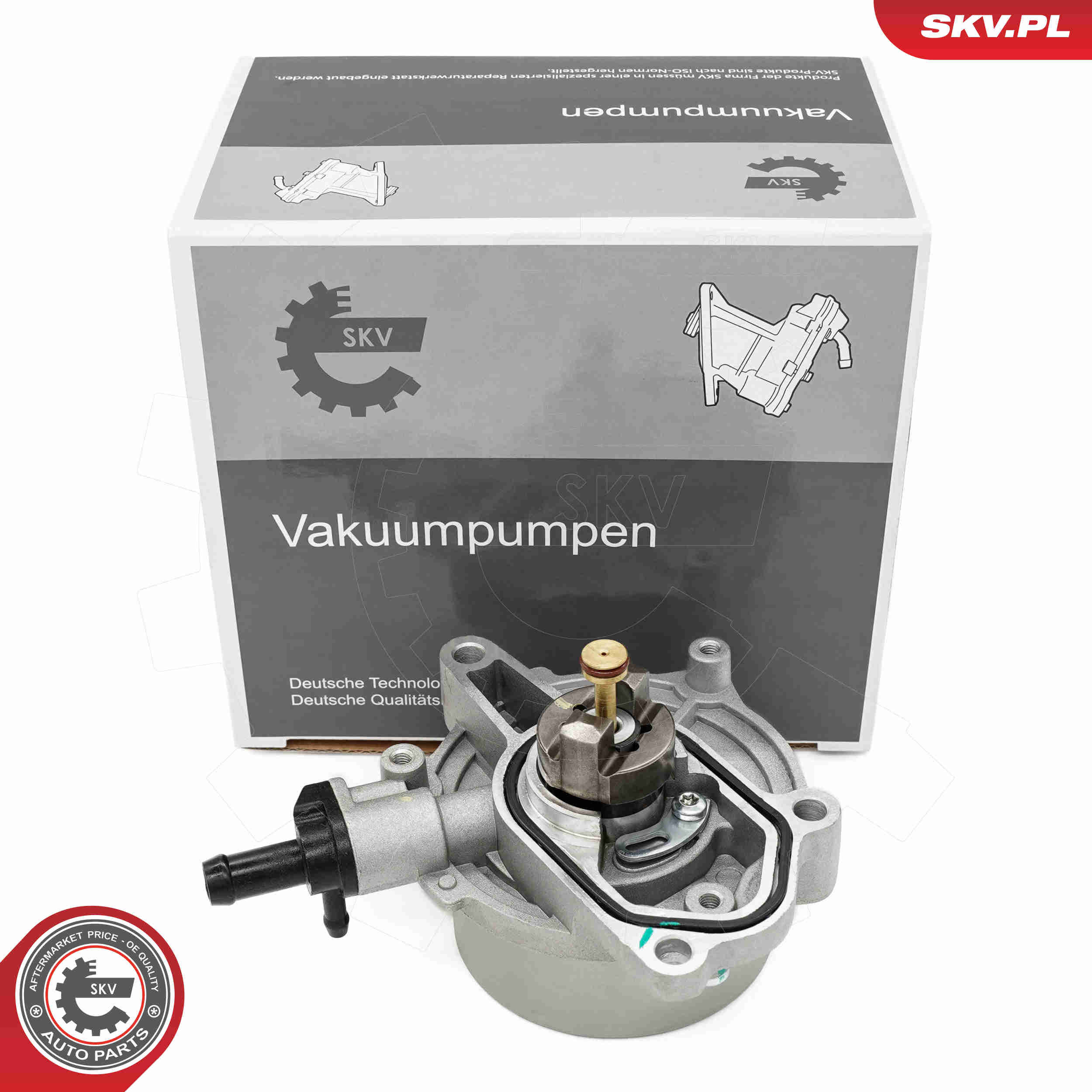 SKV 18SKV079