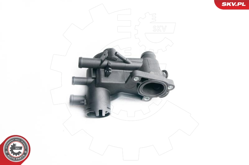 SKV 20SKV019