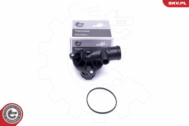 SKV 20SKV107