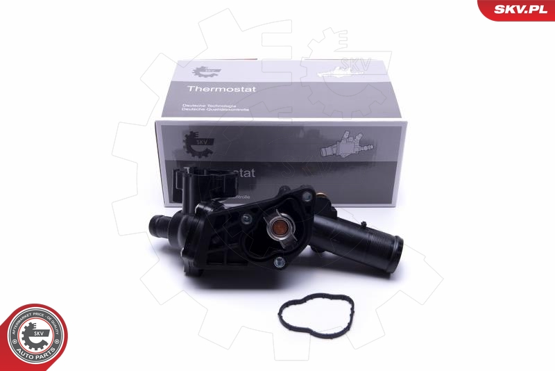 SKV 20SKV110