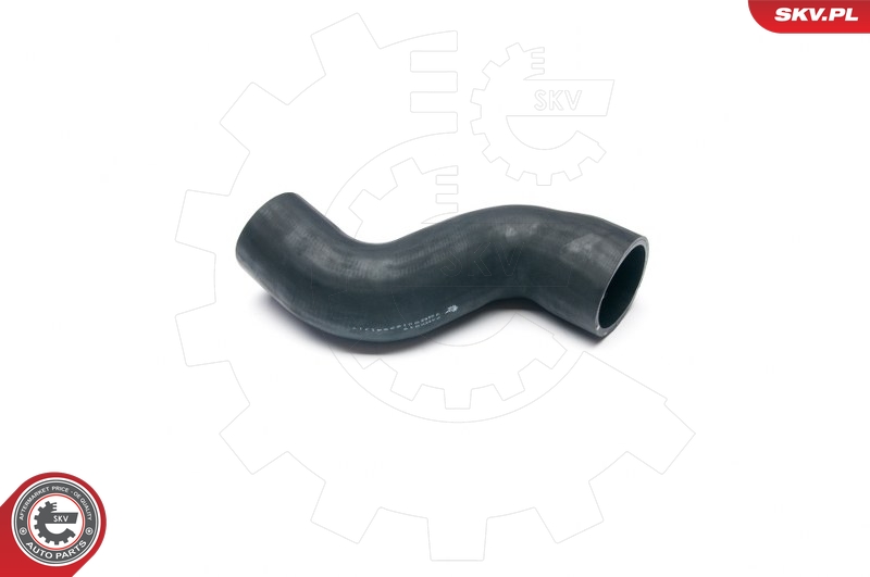 SKV 24SKV019
