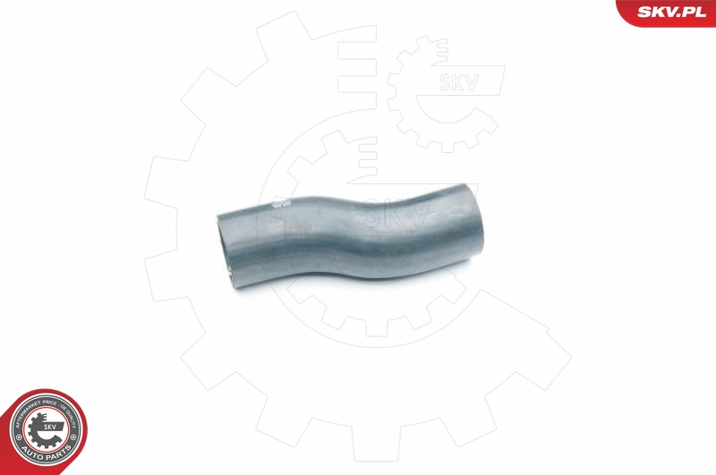 SKV 24SKV081