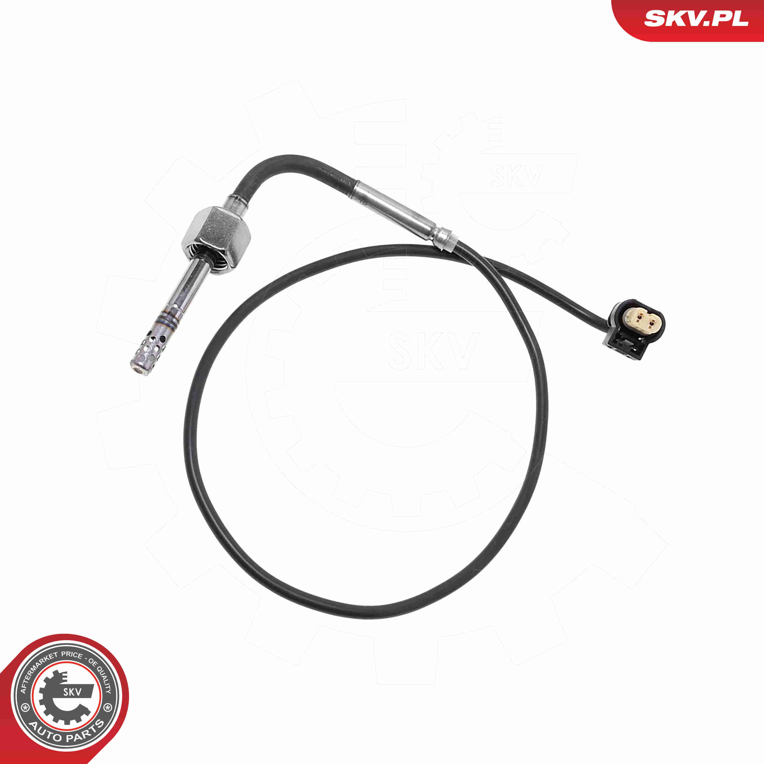 SKV 30SKV491