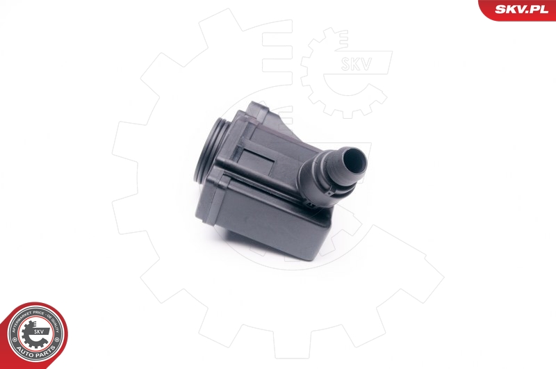 SKV 31SKV006