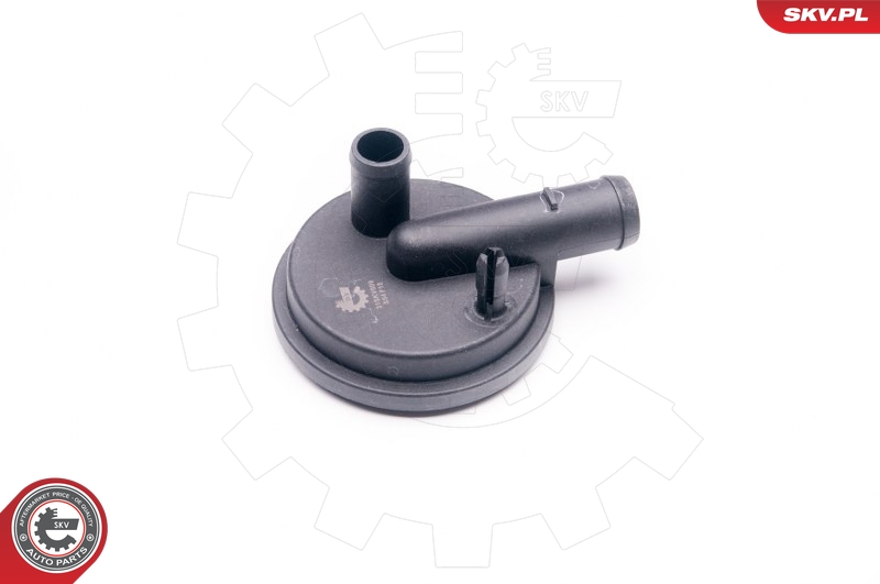 SKV 31SKV009