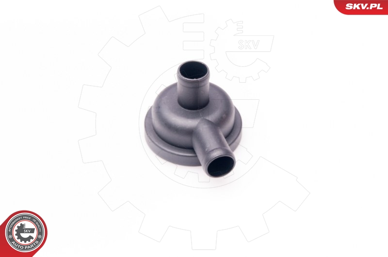 SKV 31SKV010