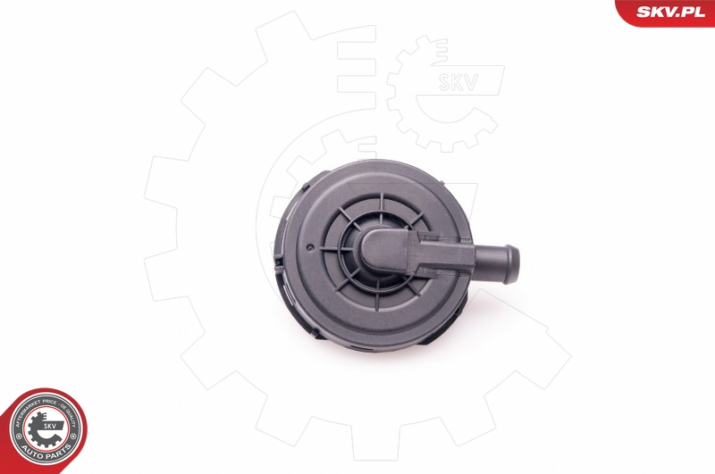 SKV 31SKV023