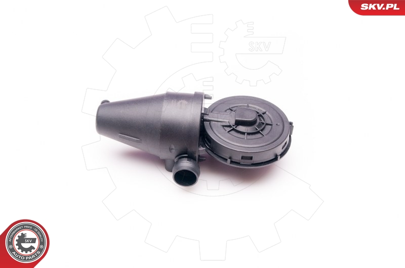 SKV 31SKV038