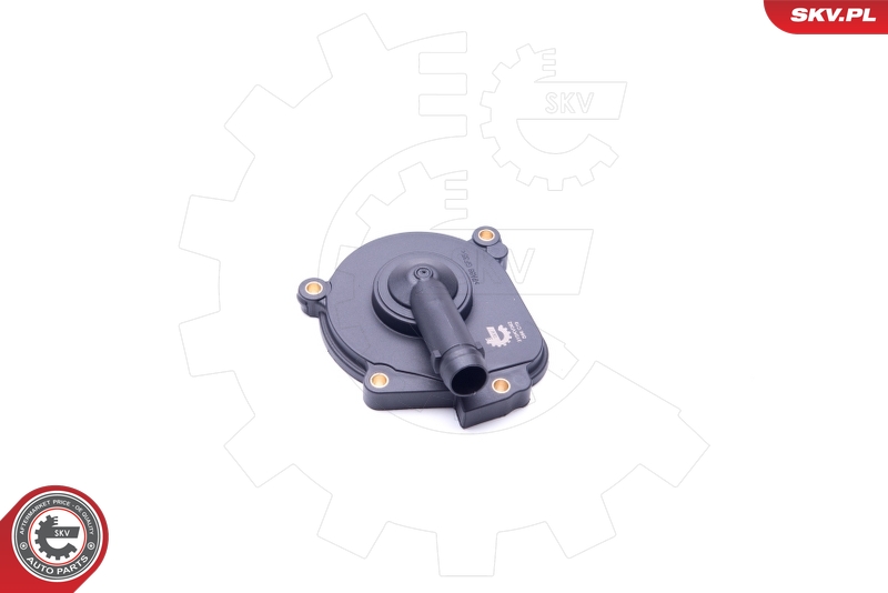SKV 31SKV062