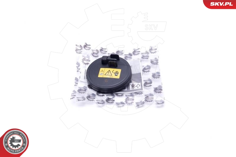 SKV 31SKV189