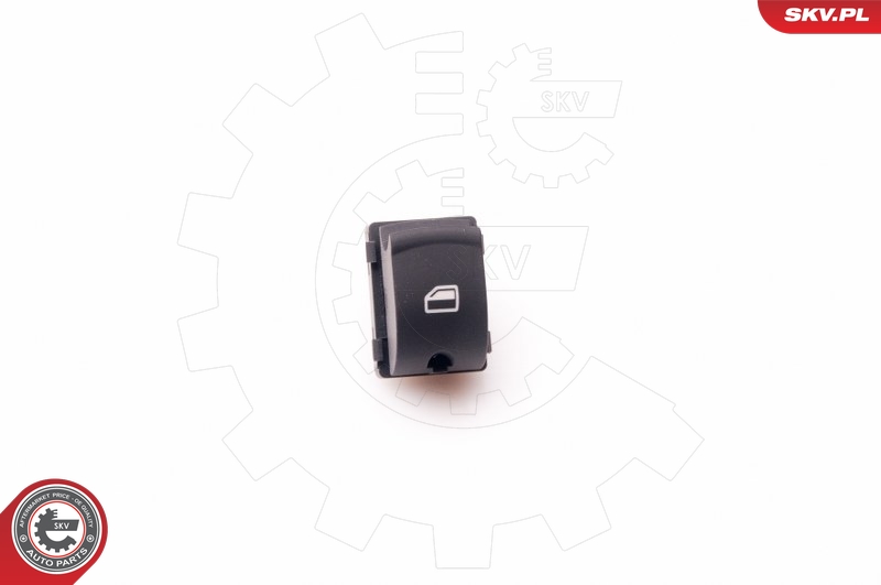 SKV 37SKV303