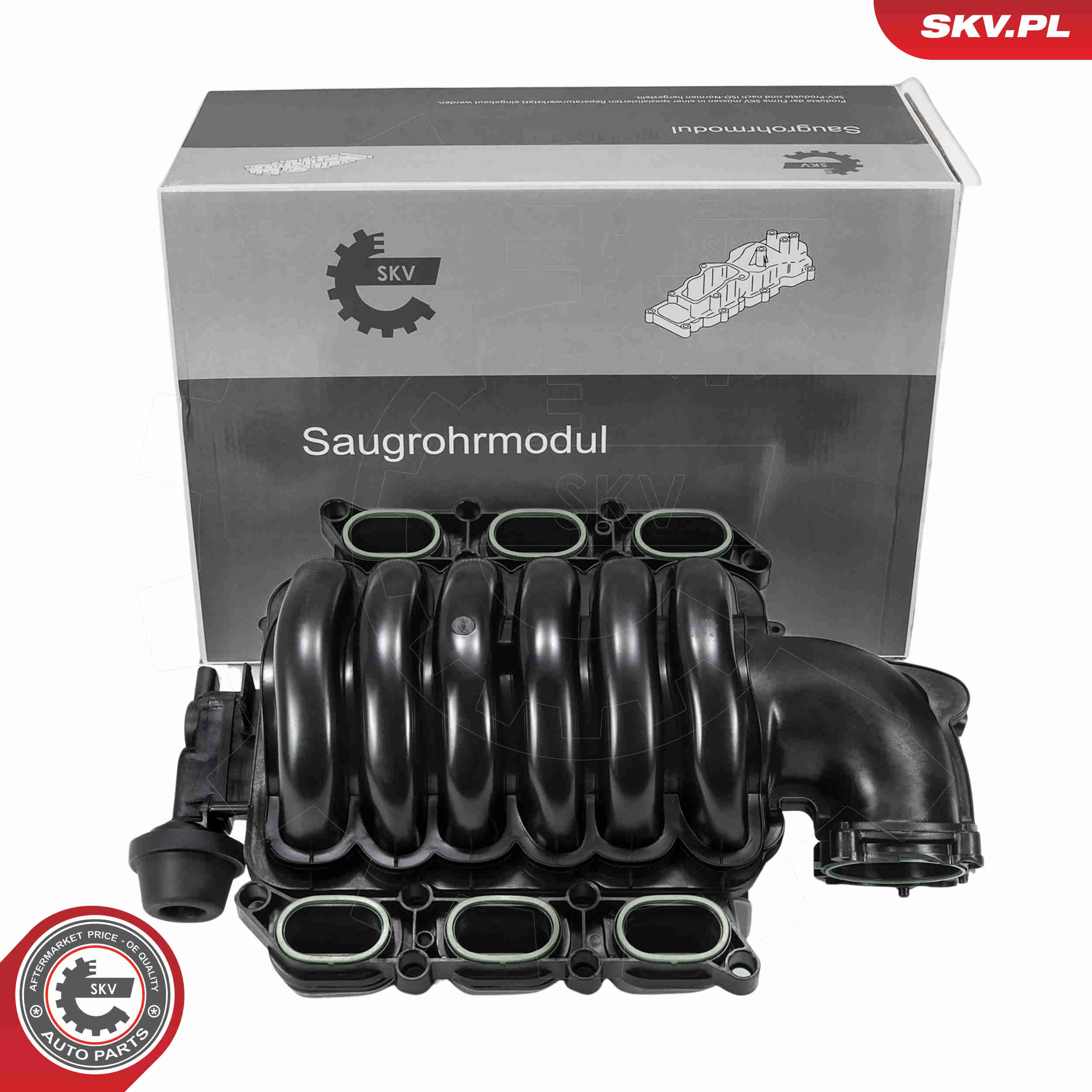 SKV 49SKV095