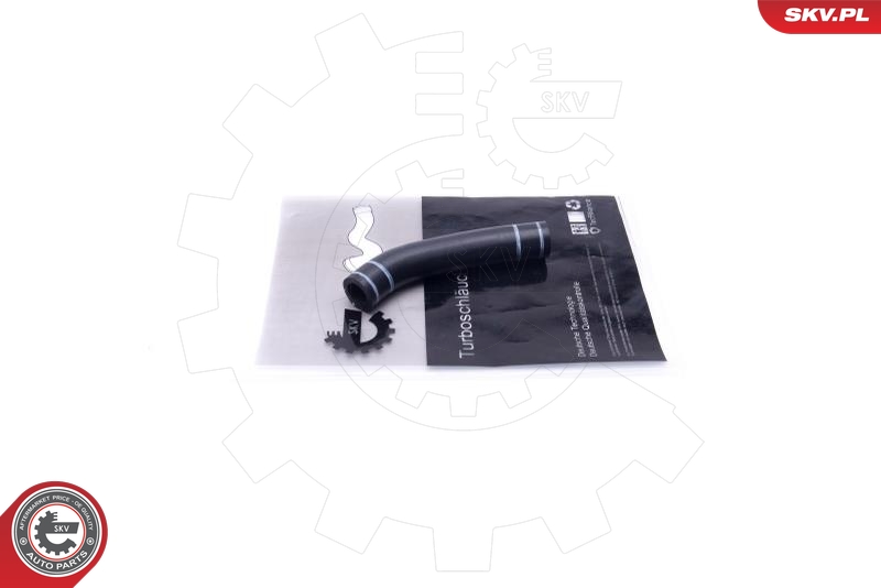 SKV 54SKV200