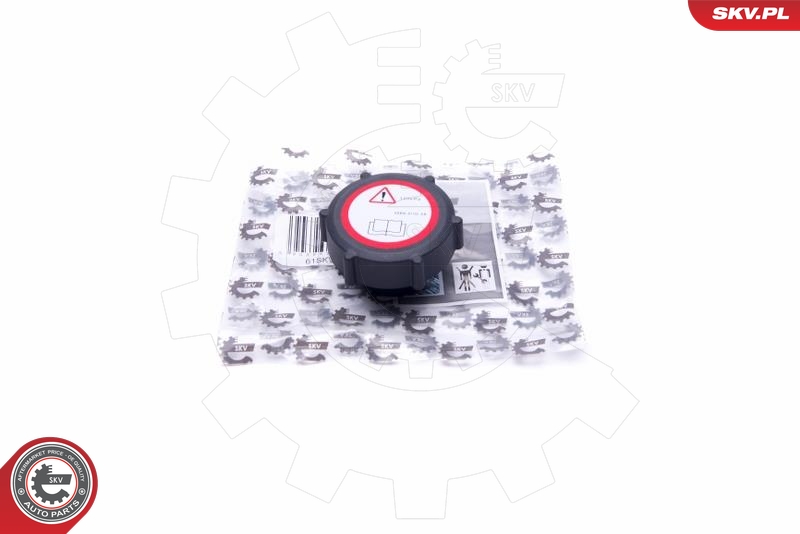 SKV 61SKV006