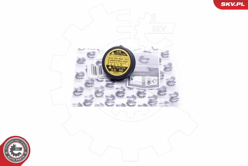SKV 61SKV008