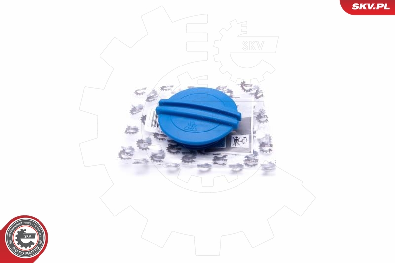 SKV 61SKV010