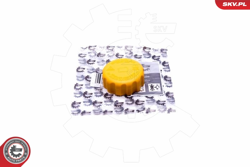 SKV 61SKV021