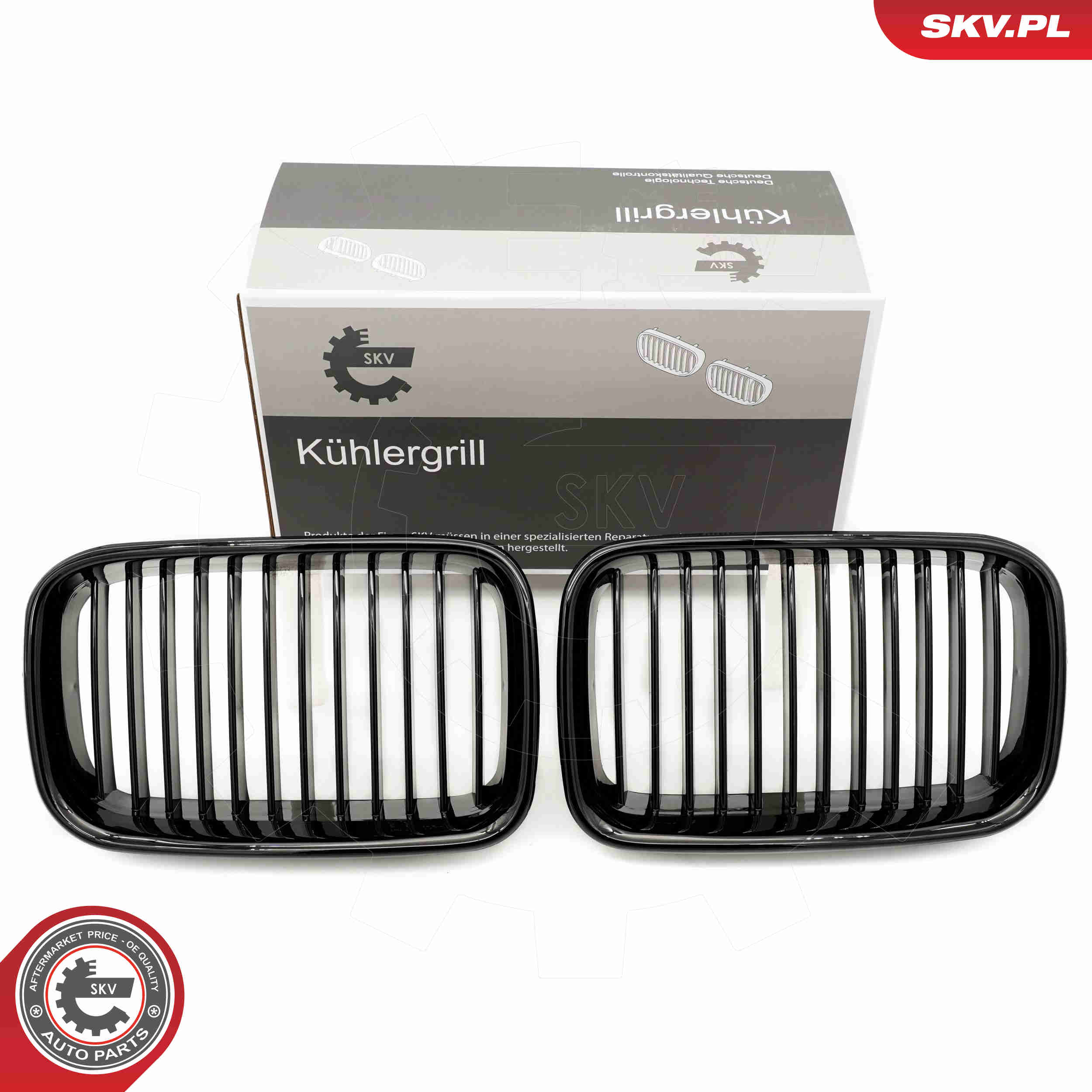 SKV 66SKV043