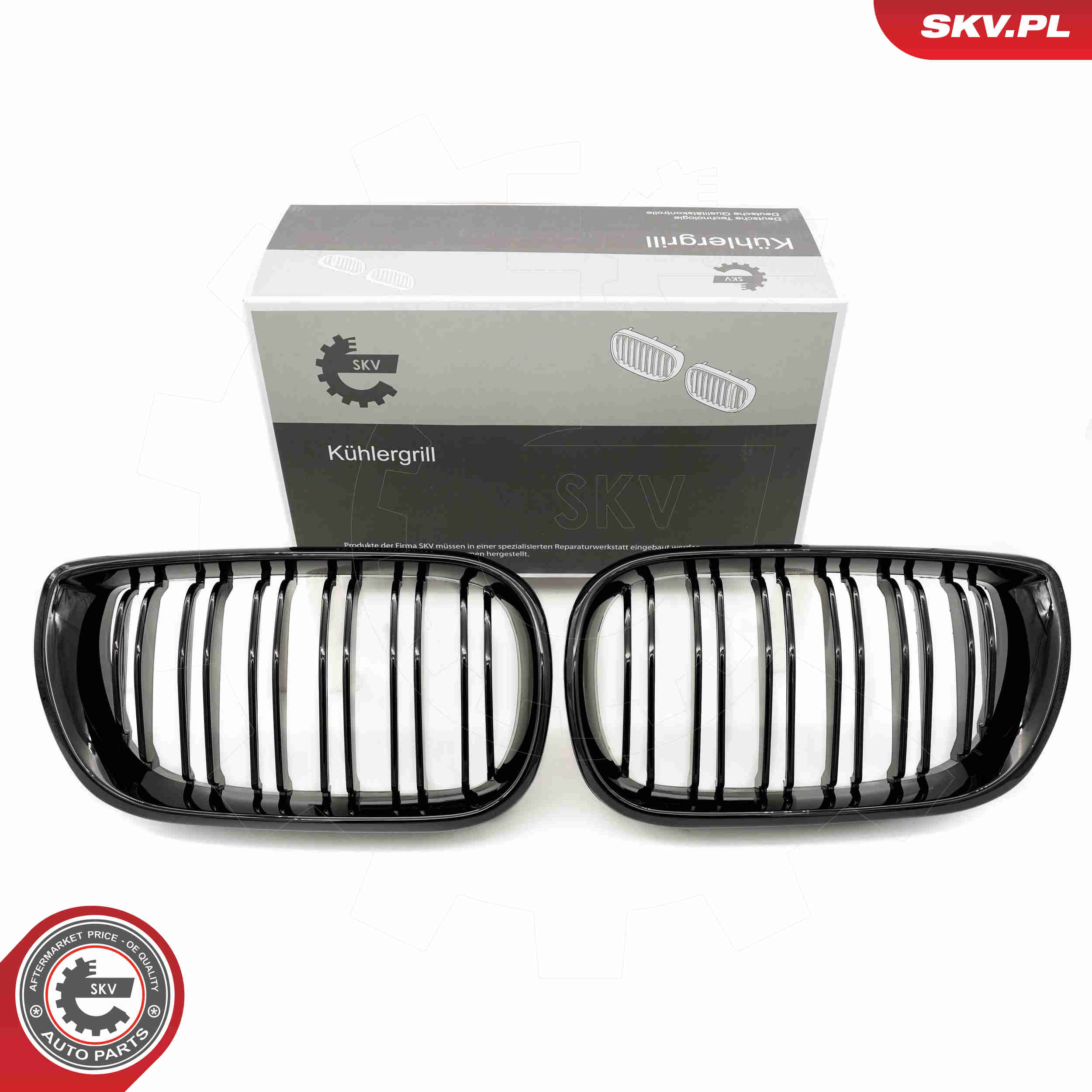 SKV 66SKV081