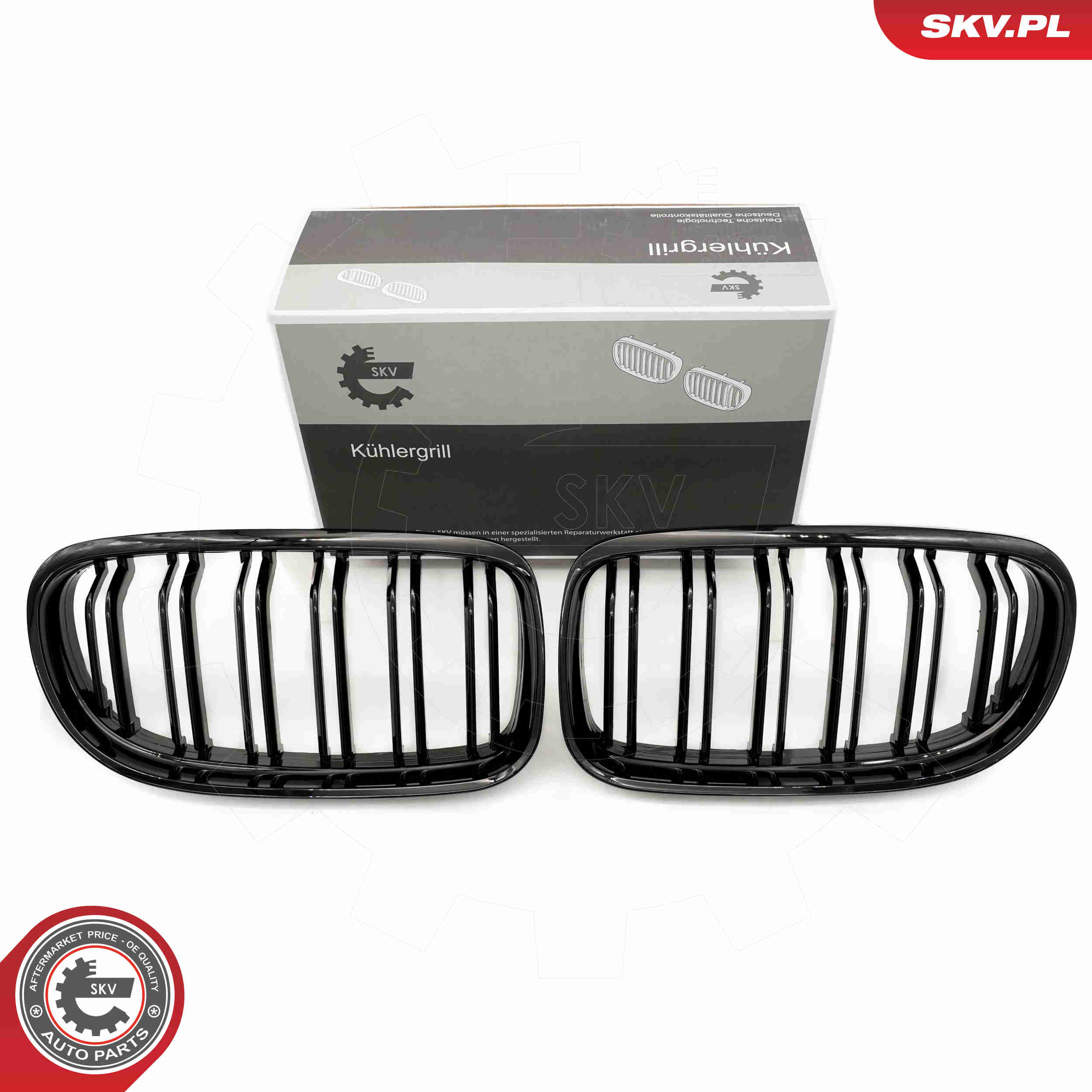 SKV 66SKV099