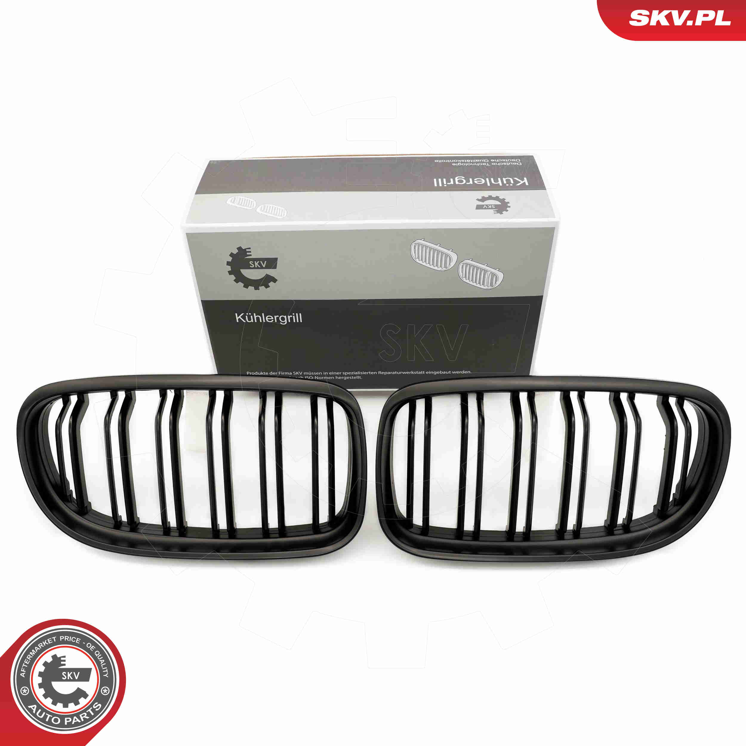 SKV 66SKV101