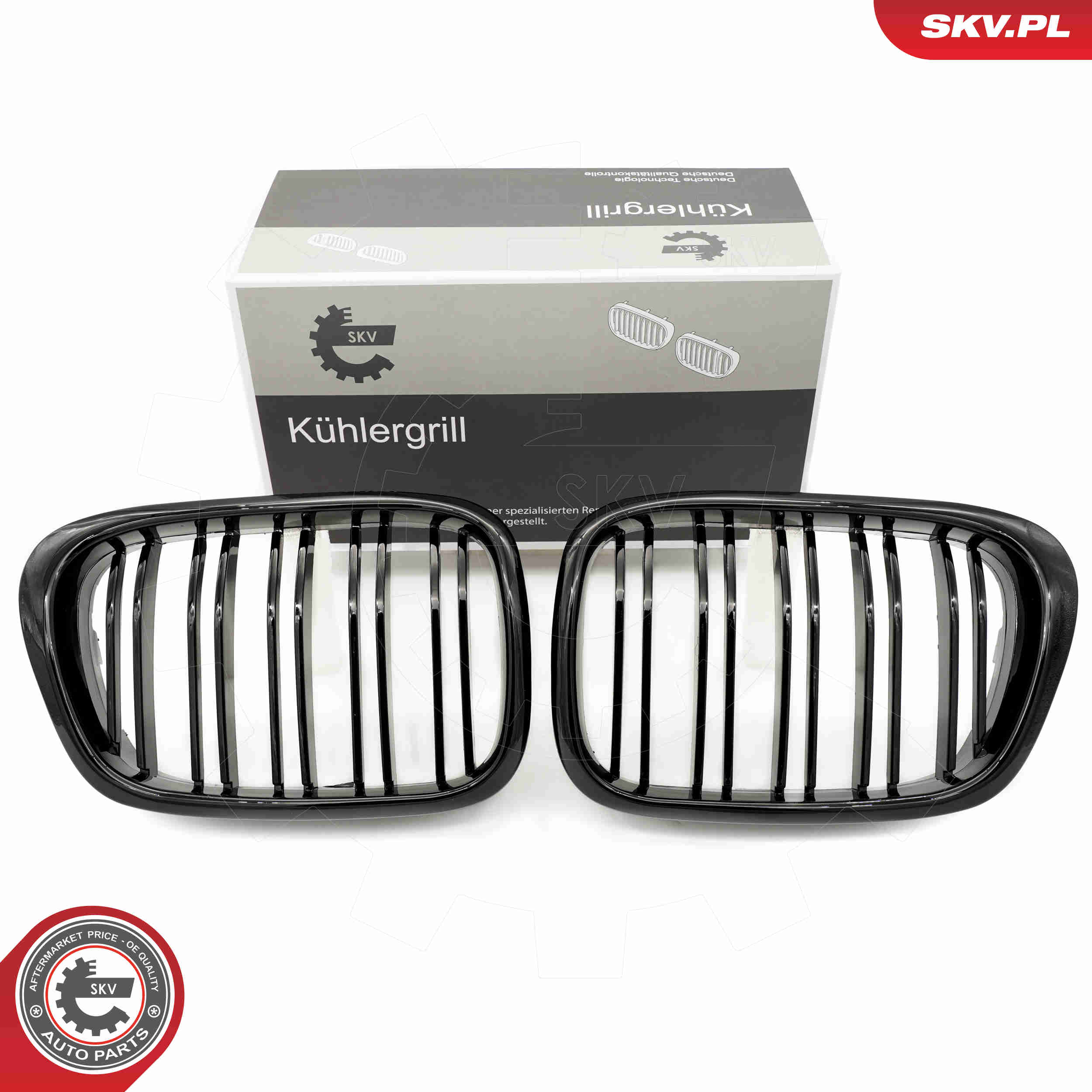 SKV 66SKV161