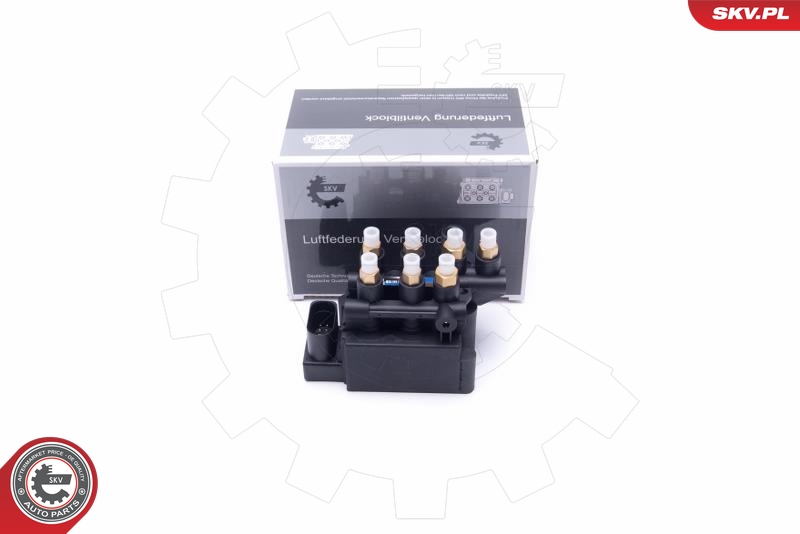 SKV 93SKV809
