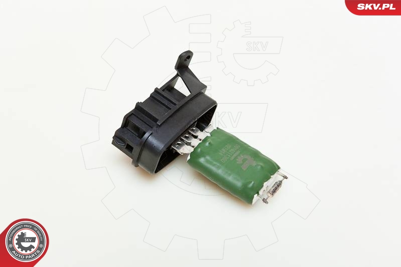 SKV 95SKV010