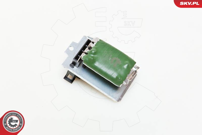 SKV 95SKV013