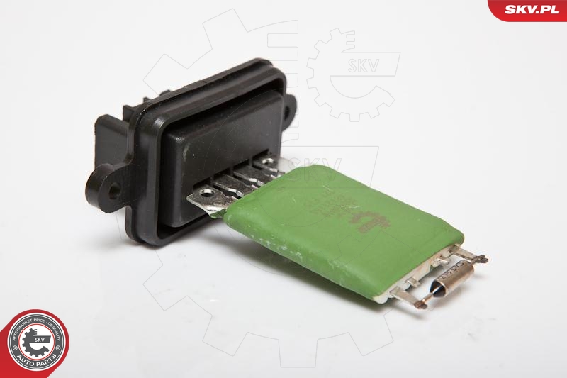SKV 95SKV018