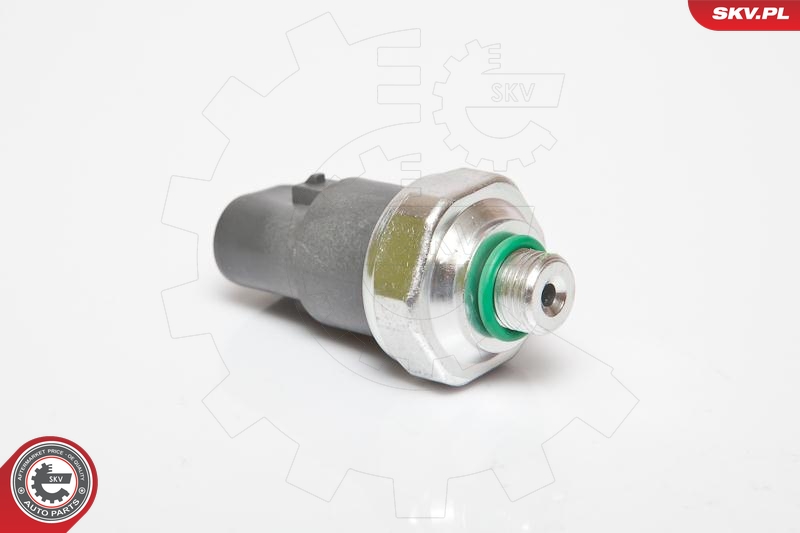 SKV 95SKV119
