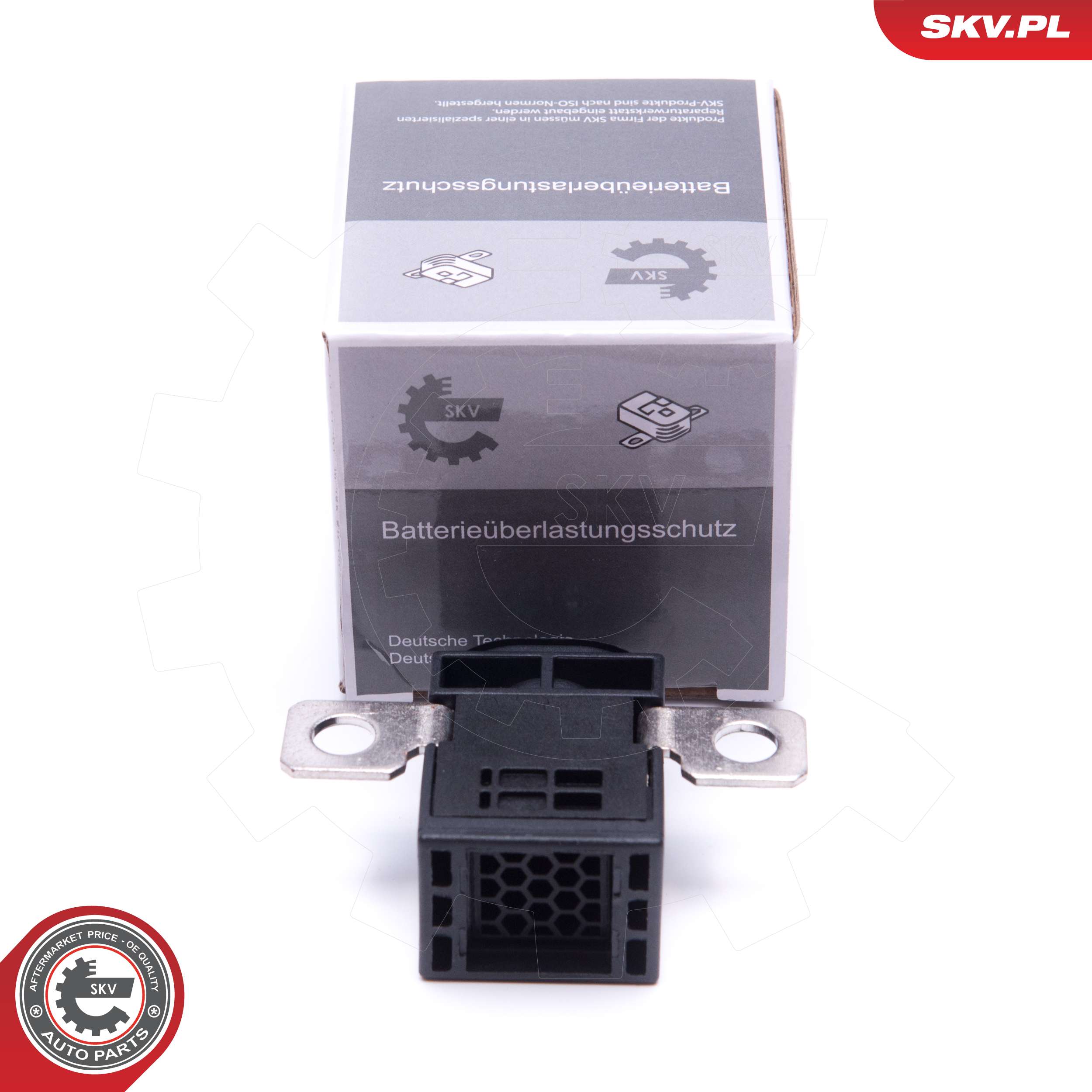 SKV 96SKV004