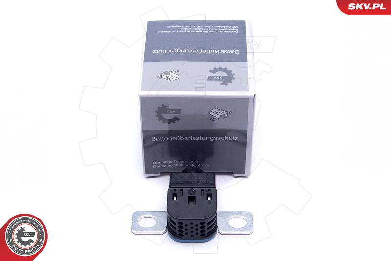 SKV 96SKV317