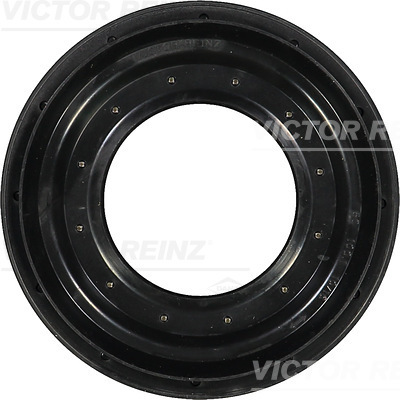 VICTOR REINZ 81-31377-00