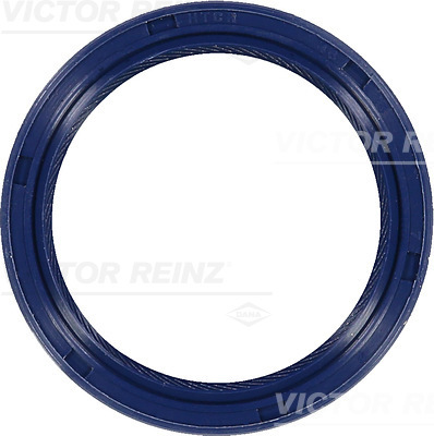 VICTOR REINZ 81-53284-00