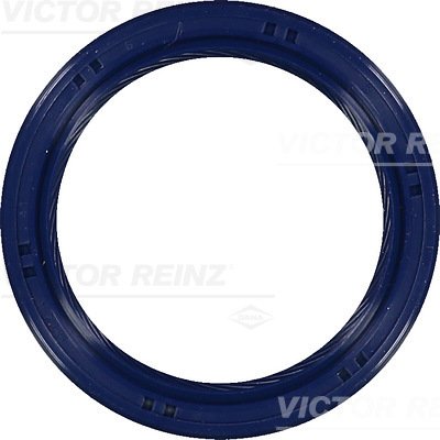 VICTOR REINZ 81-53699-00