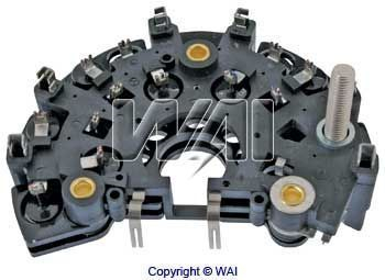WAI IBR692